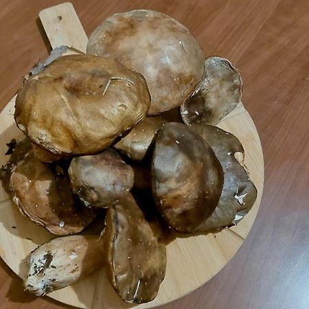 Agriturismo La Terrazza Valfabbrica 外观 照片