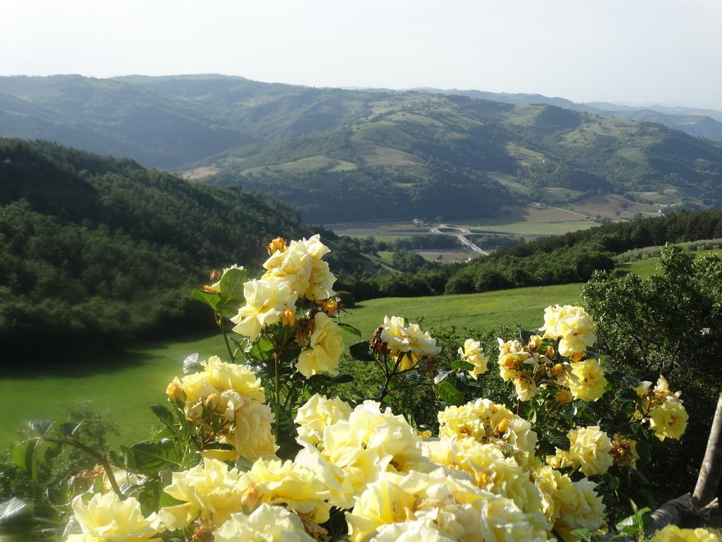 Agriturismo La Terrazza Valfabbrica 外观 照片
